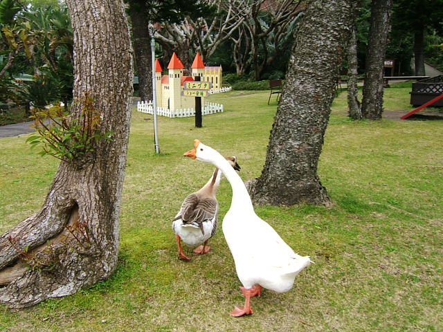c0037701_2351272.jpg