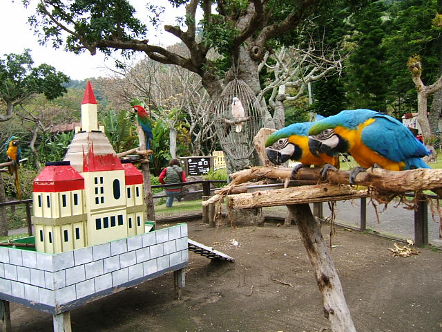 c0037701_2361274.jpg