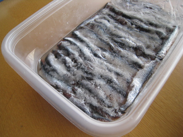 アンチョビ作り_b0107003_1131379.jpg