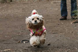 c0128303_166837.jpg