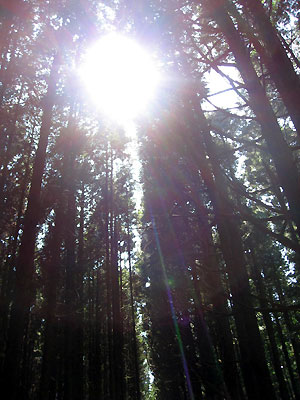 e0118904_23303211.jpg