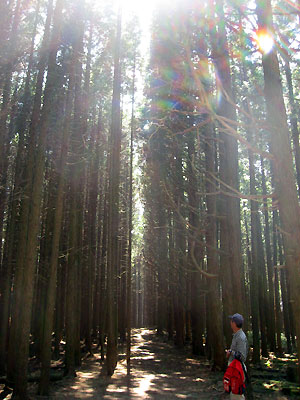 e0118904_23304481.jpg