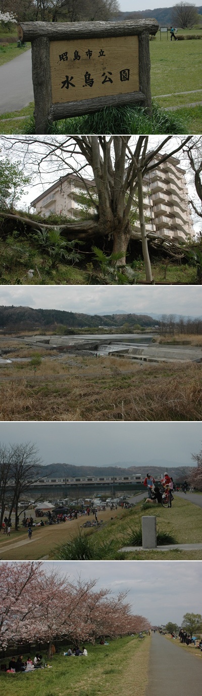 誕生日はウォーキング日和_c0051105_10362697.jpg