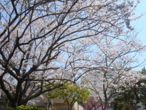 e0175005_16485711.jpg