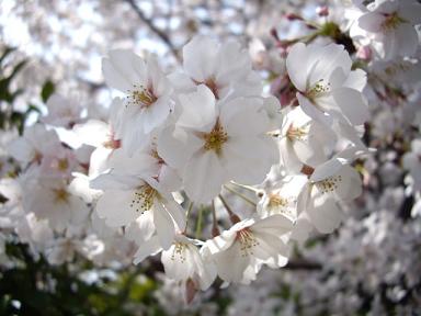 やりたい事NOW!!! さらに達成編_f0042307_1412186.jpg