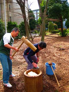 お花見ラン_a0036808_13511927.jpg