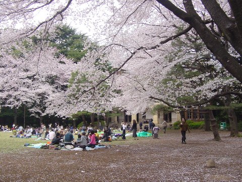 b0026408_2101597.jpg