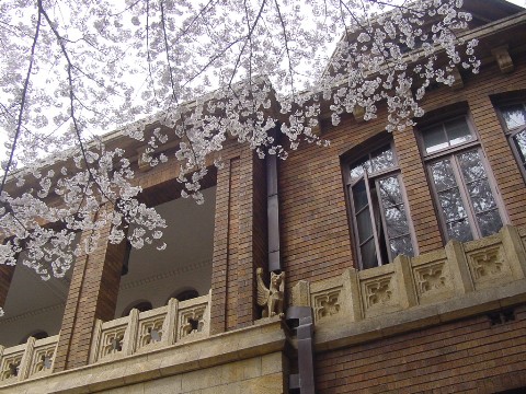 b0026408_2144830.jpg