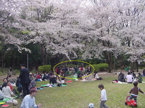b0026408_215551.jpg