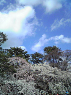 c0132608_18354237.jpg