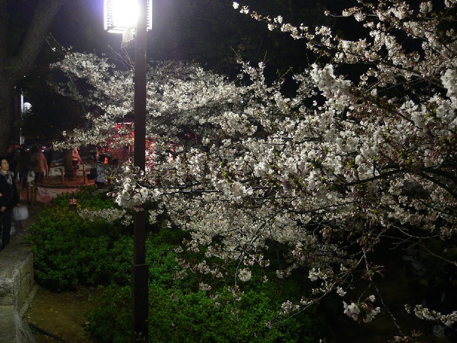 a0105809_1555980.jpg