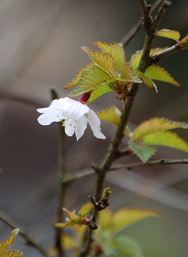 c0097309_9213416.jpg