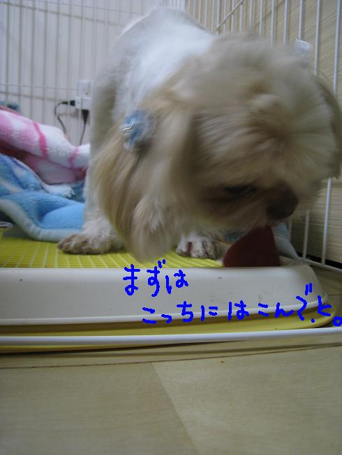 f0195809_23372756.jpg