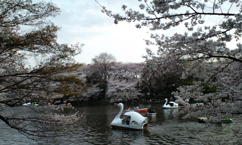 a0026611_2328525.jpg