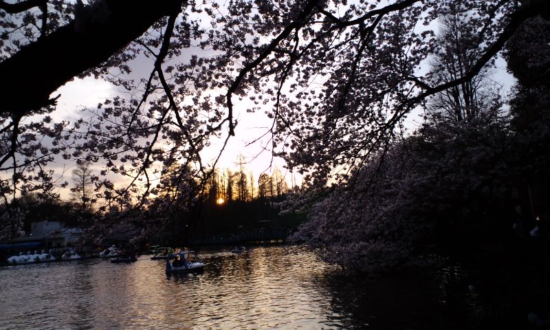 a0026611_23292582.jpg