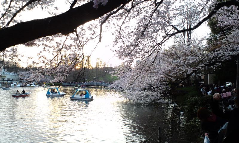 a0026611_2329683.jpg