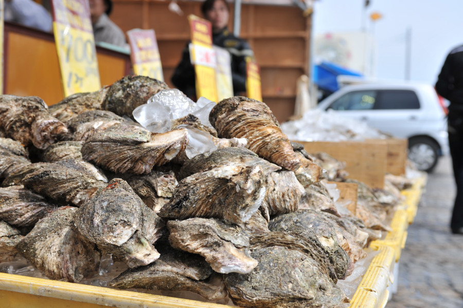 那珂湊のお魚市場_a0094711_814572.jpg