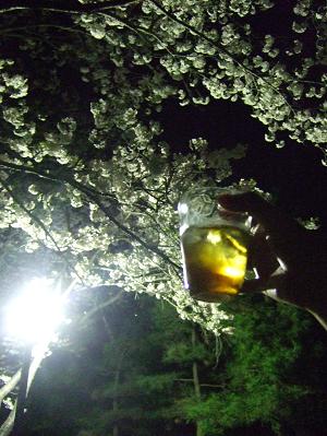 c0164212_1836380.jpg