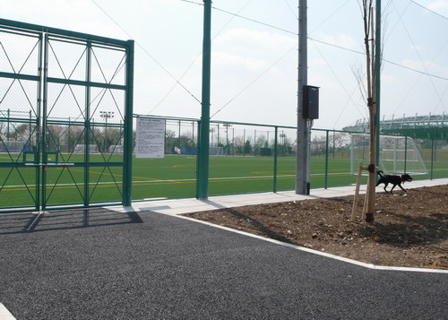 c0101713_22101680.jpg
