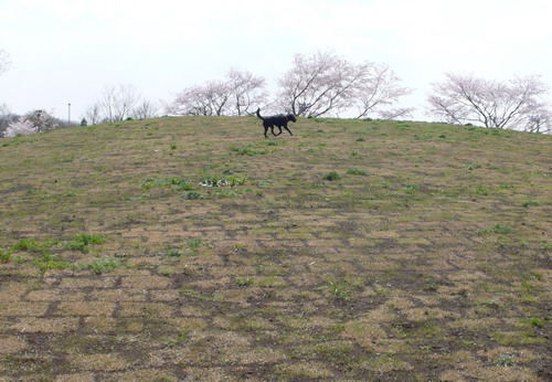 c0101713_22132879.jpg