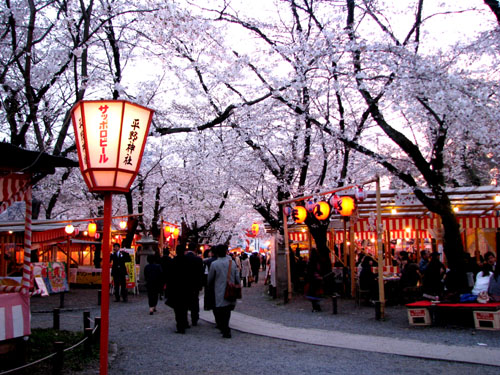 平野神社 夜ざくら_e0048413_2394146.jpg