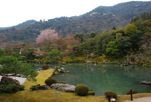 しだれ桜　-　天龍寺_a0114714_21132720.jpg