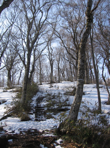 春♪荒島岳...凍った雪が_d0103314_22493338.jpg