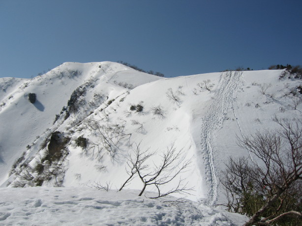 春♪荒島岳...凍った雪が_d0103314_2371051.jpg