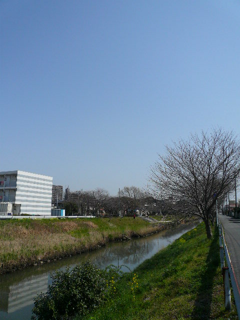 e0138314_12185122.jpg