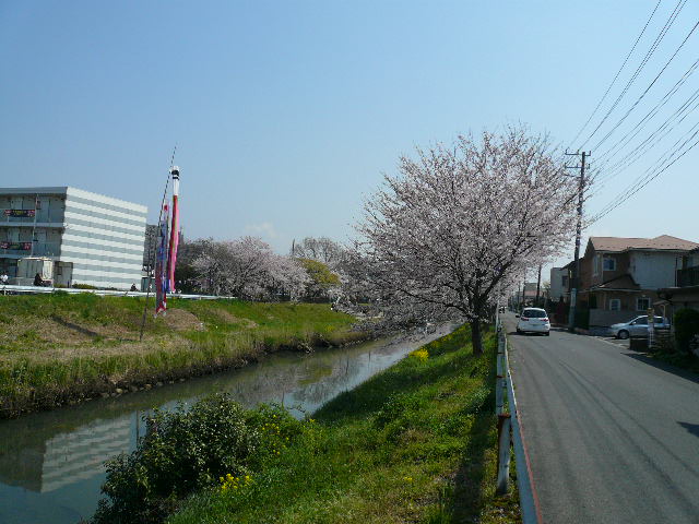 e0138314_12193497.jpg