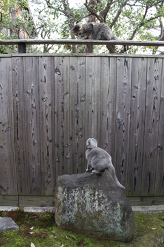 e0156015_0521949.gif