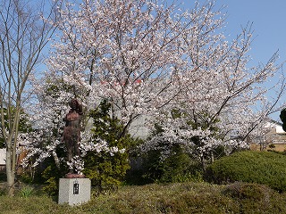 鈴鹿“四季の道”・“神戸公園”の桜_a0101716_1920899.jpg