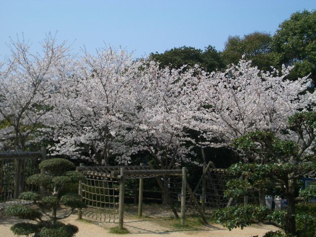 b0147316_8521574.jpg