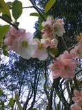 一日オフ_f0201116_0285625.jpg