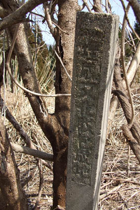 c0068917_2271052.jpg