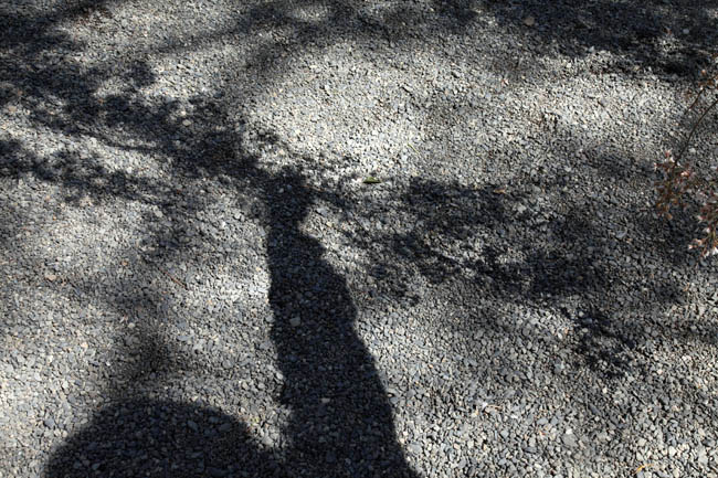 c0119819_10594590.jpg