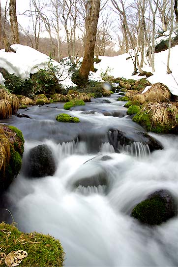 奥大山の名渓　木谷沢_b0169920_2372915.jpg