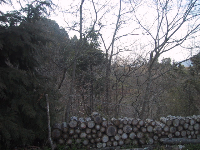 c0097620_202252.jpg