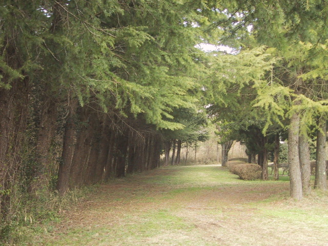 c0097620_20353190.jpg