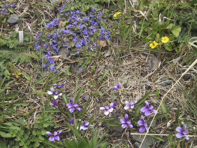 c0097620_20354655.jpg