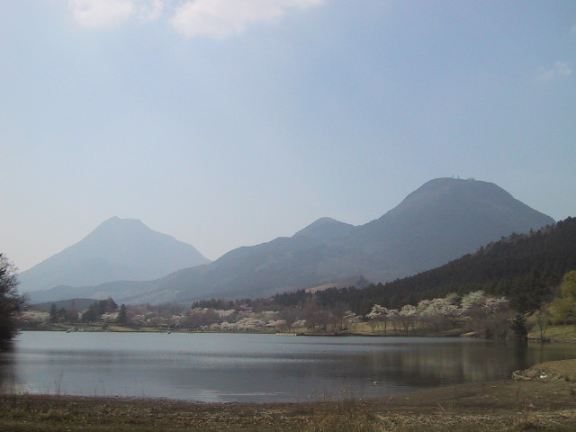 c0097620_2035528.jpg