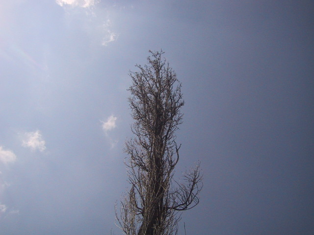 c0097620_20364235.jpg