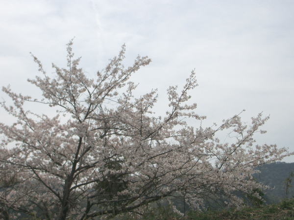 b0063922_6593234.jpg