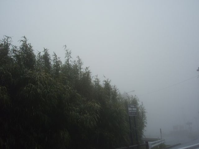 e0086522_7494652.jpg