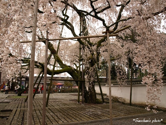 c0157624_21531664.jpg