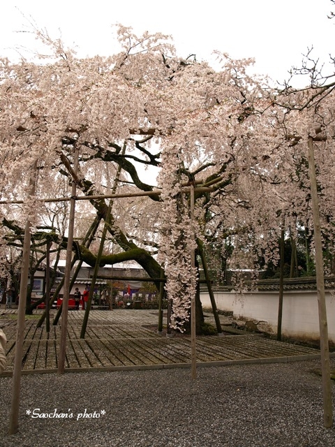 c0157624_2153391.jpg