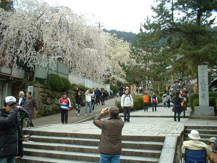 奈良　長谷寺_e0071524_11374661.jpg