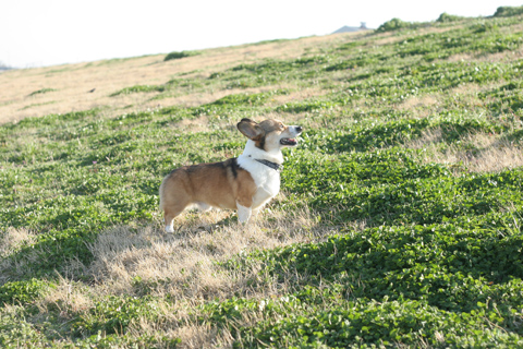 e0071225_0444592.jpg