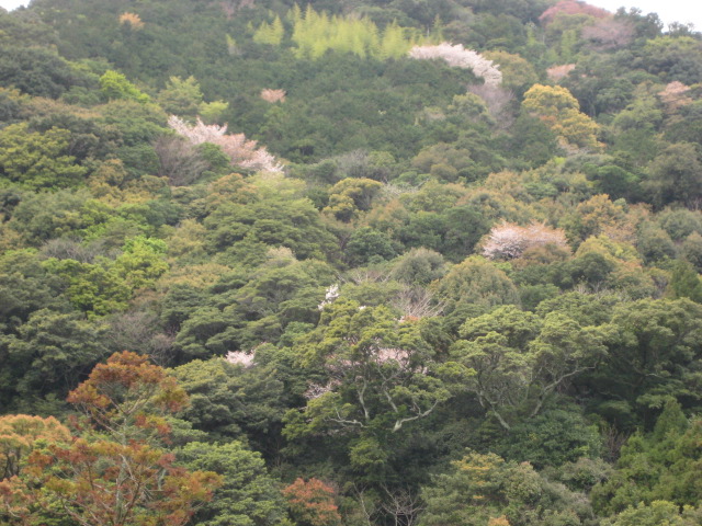 d0147727_2015161.jpg