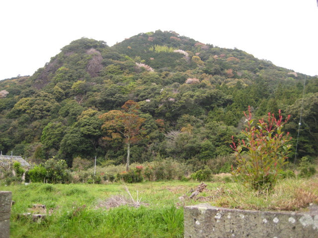 d0147727_20154132.jpg